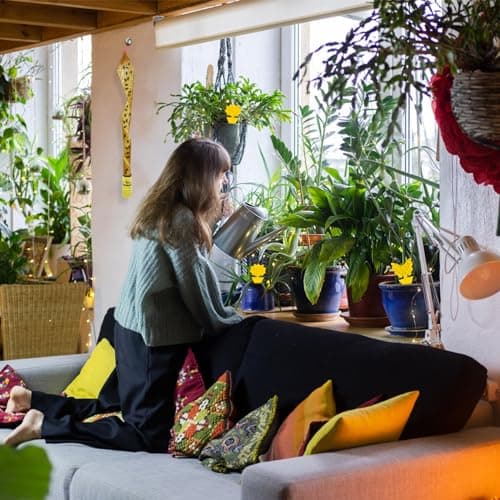 Thumbnail 3 de 60 Piezas trampas para Moscas, 40X Atrapa Moscas Tiras y 20X Trampa para Mosquitos Amarillo en Total, Atrapa Mosquitos Insectos