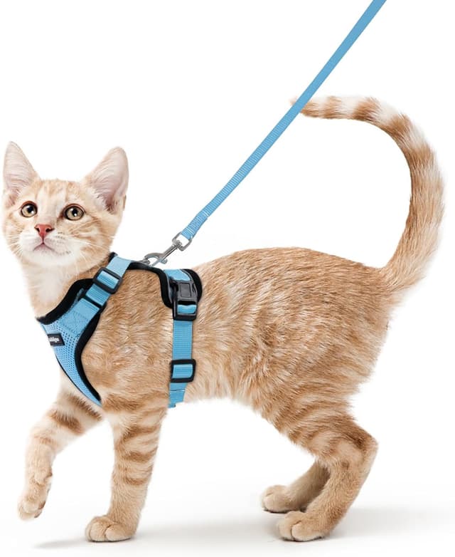 Detalle de rabbitgoo XS cat harness set 21.6cm