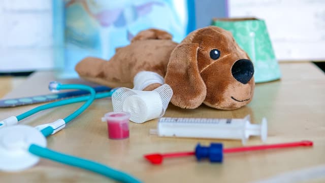 Detalle 2 de Clementoni Galileo Lab 59262 – Tiermedizin-Spielset „Entdecke die Welt der Tiermedizin“ ab 5 Jahren