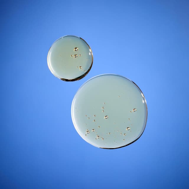 Detalle 2 de Neal’s Yard Remedies Geranium & Orange 200ml hand wash