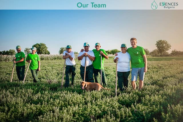 Detalle de Essences Bulgaria Bio-Traubenkernöl kaltgepresst (250 ml) – 100% naturrein, vegan