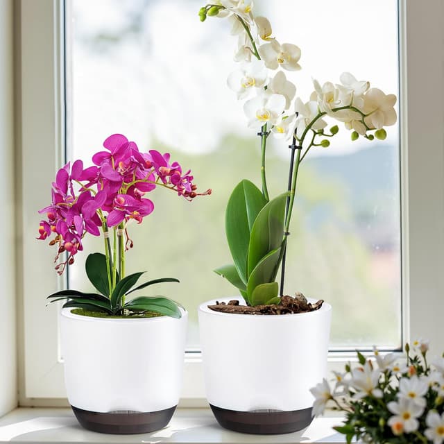 Thumbnail 5 de QCQHDU 7.2in self-watering orchid pots