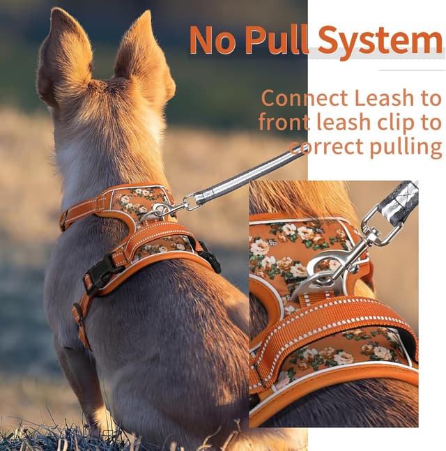 Thumbnail 4 de HEELE Harnais chien anti-traction XL