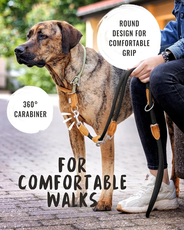 Detalle 2 de Rudelkönig Emma 2,30 m laisse 3 points