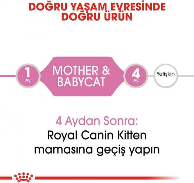 Detalle de ROYAL CANIN Babycat 34 (1) – RC Babycat 34, 4-kg-Trockenfutter für Katzen bis zu 4 Monaten
