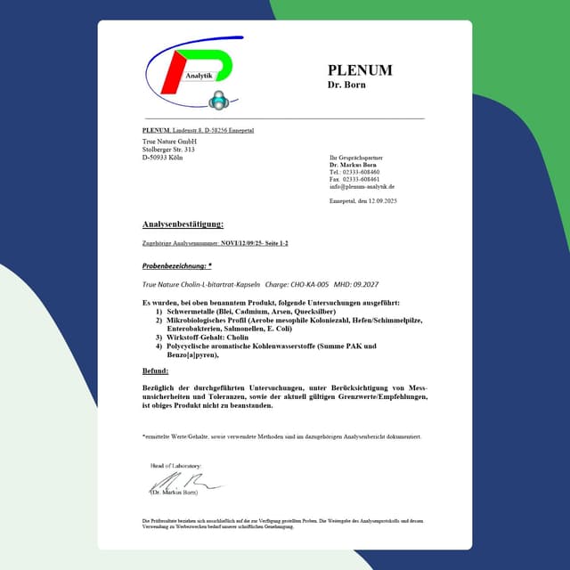 Thumbnail 6 de TRUE NATURE Cholin Kapseln 1125mg