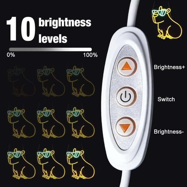 Thumbnail 2 de DAJASD Bar Neon Schild mit USB