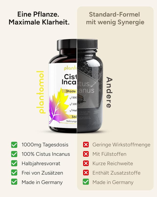 Detalle de 360 Cistus Incanus Kapseln hochdosiert – 1000 mg Zistrosenkraut pro Tagesdosis (2 Kapseln)