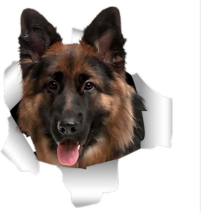 Thumbnail 6 de TIZIKJ Deutscher Schäferhund Autoaufkleber 22 cm