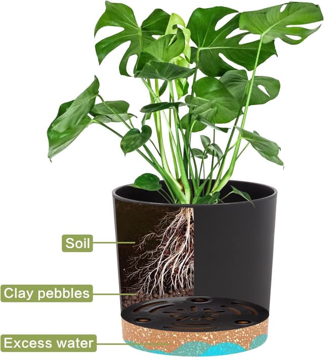 Detalle 2 de QCQHDU 12.7cm Plant Pots, 2 Pack