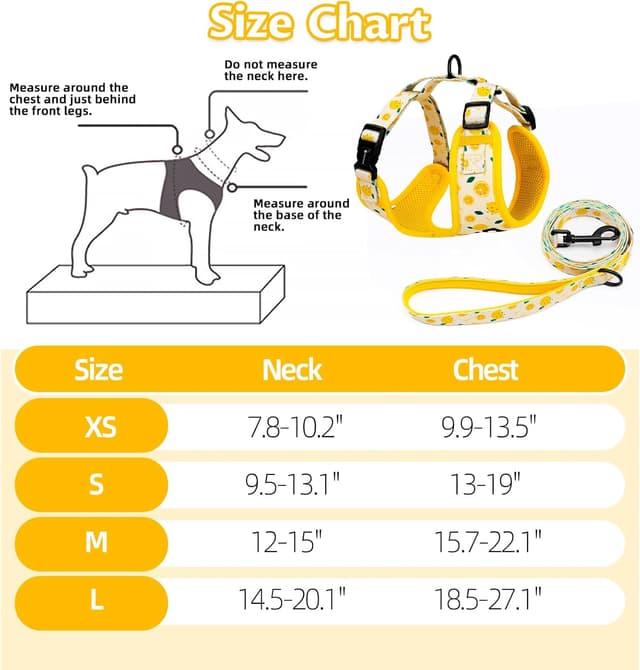 Detalle de COOWONE dog harness set for small dogs