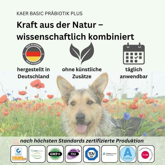 Detalle de kaer basic Präbiotik Plus Pulver für Hunde (2×200 g) – Probiotika-Unterstützung für die Darmflora
