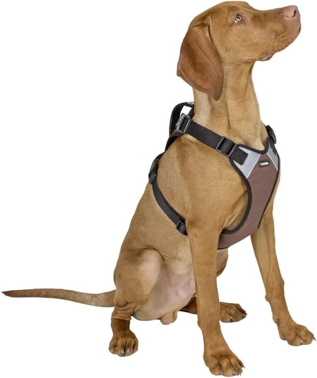 Detalle de Kerbl Pet Hundegeschirr Pulsive (braun) – stufenlos verstellbar, reflektierende Flächen