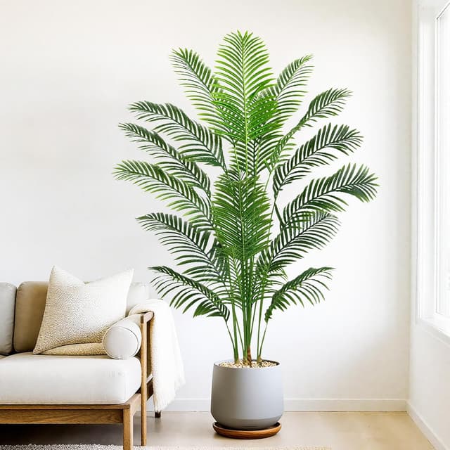 Thumbnail 3 de Palmier Arnusa 180cm en pot