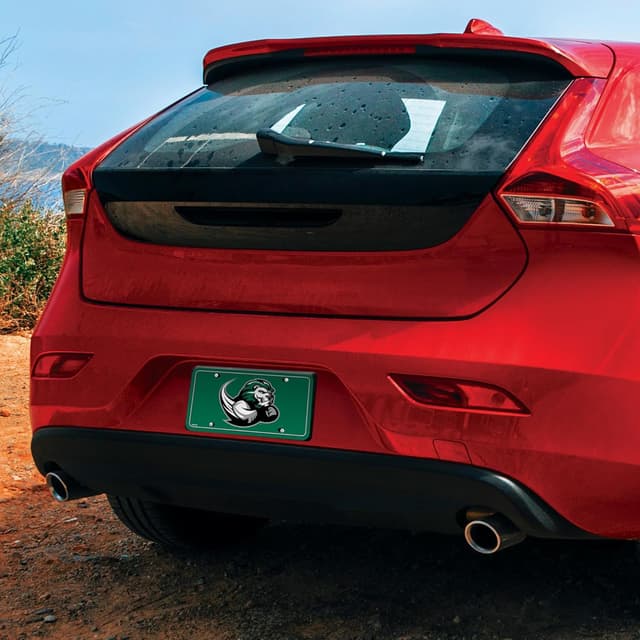 Detalle de Rico Industries NCAA Slippery Rock “The Rock” Metal Auto Tag (6" x 12")