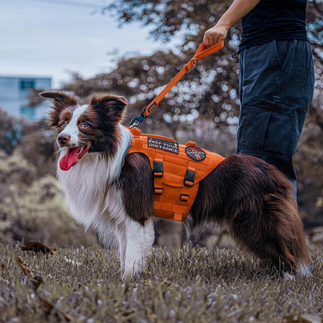 Thumbnail 6 de OneTigris Bolt Kurzführer Hund 30 cm – reflektierende Kurzleine mit Tiger-Zahn Metallclip und weicher Polsterung (Orange)