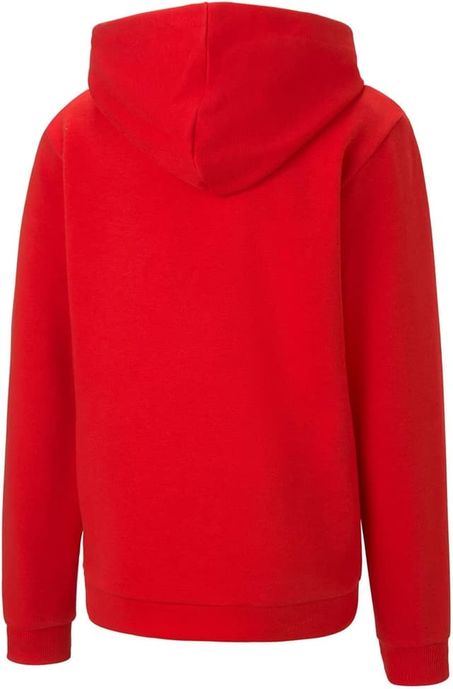 Detalle 2 de Puma Jungen Teamgoal Hoody Jr Pullover
