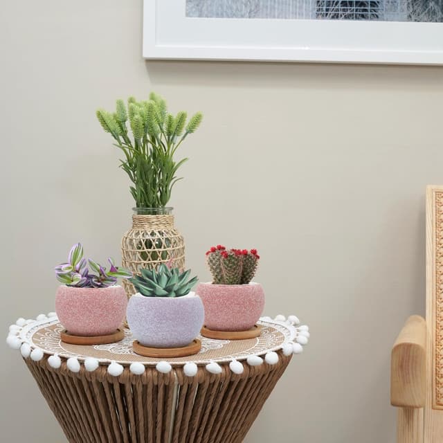 Thumbnail 5 de Thriving Thicket 3" Ceramic Succulent Pots, 6-Pack 🌱