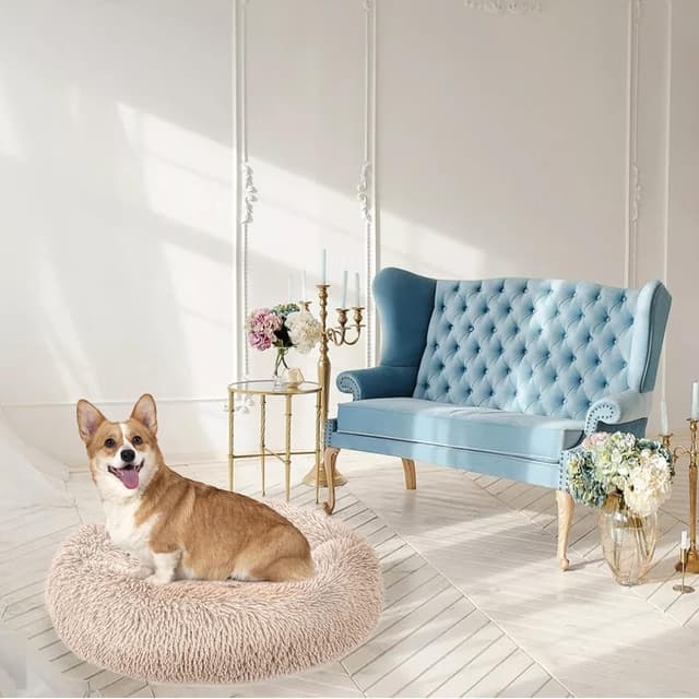 Detalle 2 de Enjamoy Plush Donut Dog Bed (Calming Round) – Soft & Fluffy Self-Warming Pet Cushion, Brown, 70cm