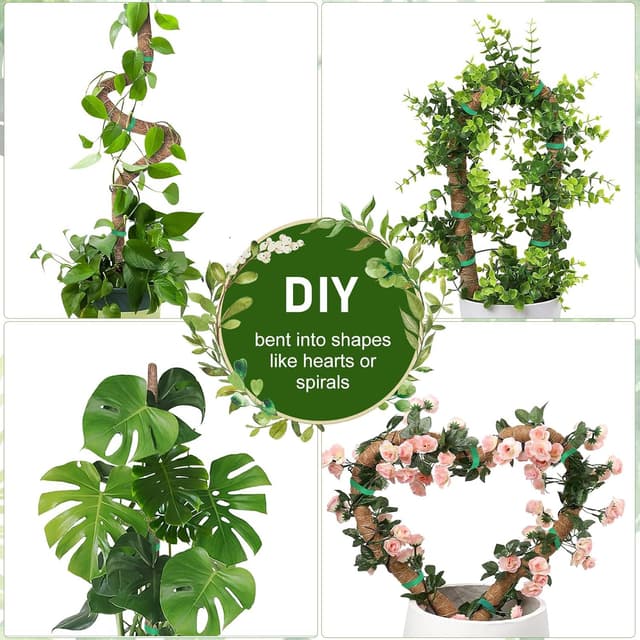 Detalle 2 de Joaercs Moss Pole 60 cm plant support for climbers