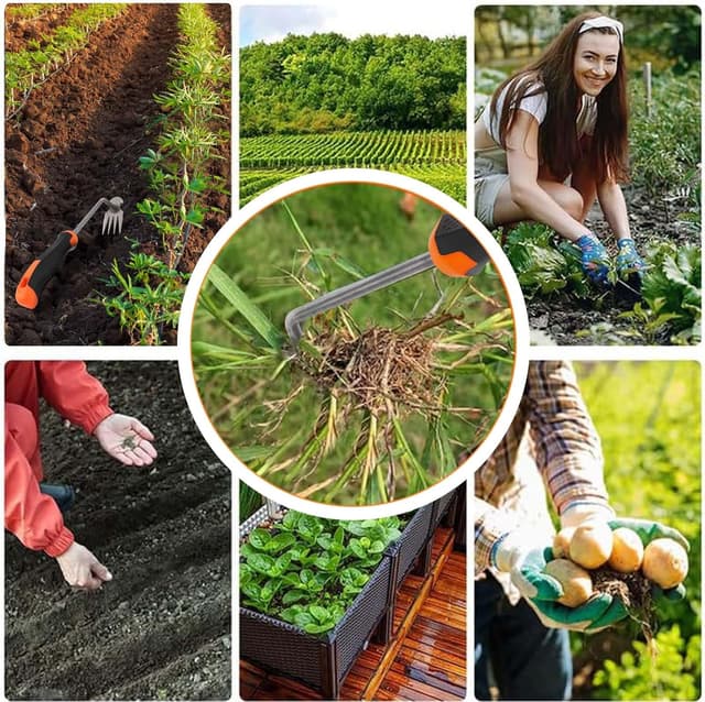 Thumbnail 6 de MOKIDO Unkrautstecher mit 4 Zähnen und Stiel – manuelles Unkrautentferner-Gerät für enge Zwischenräume