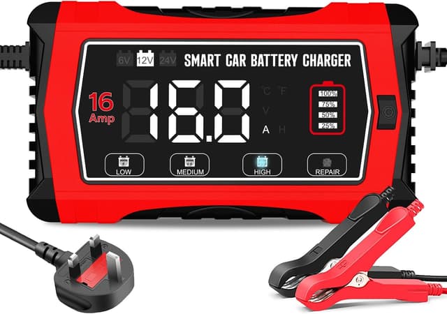 Detalle de 16A 6V 12V 24V battery charger