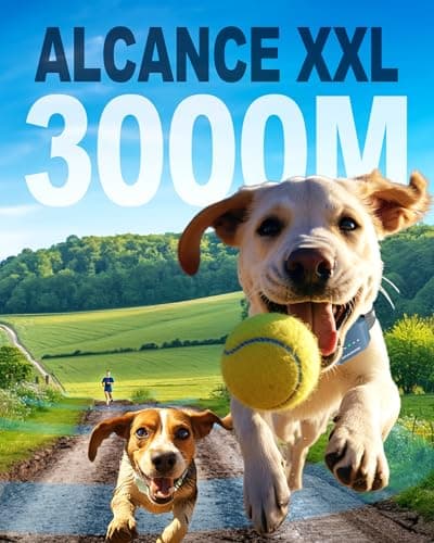 Detalle de Staalguard Collar de Adiestramiento para Perros 3000m