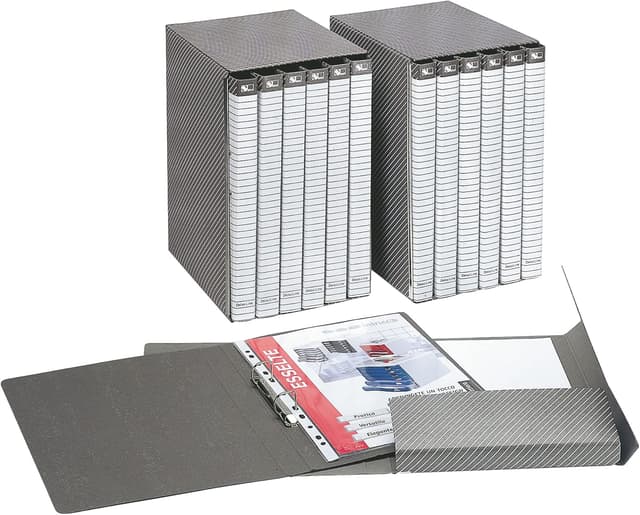 Detalle de Esselte C12 Delso Line cartella progetti con dorso 12 cm, 25 x 35 cm (bianco/grigio) – 390312040