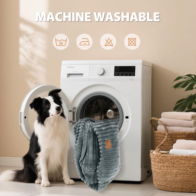 Thumbnail 6 de Nobleza Cuccia Cane Interno 65x55x20cm