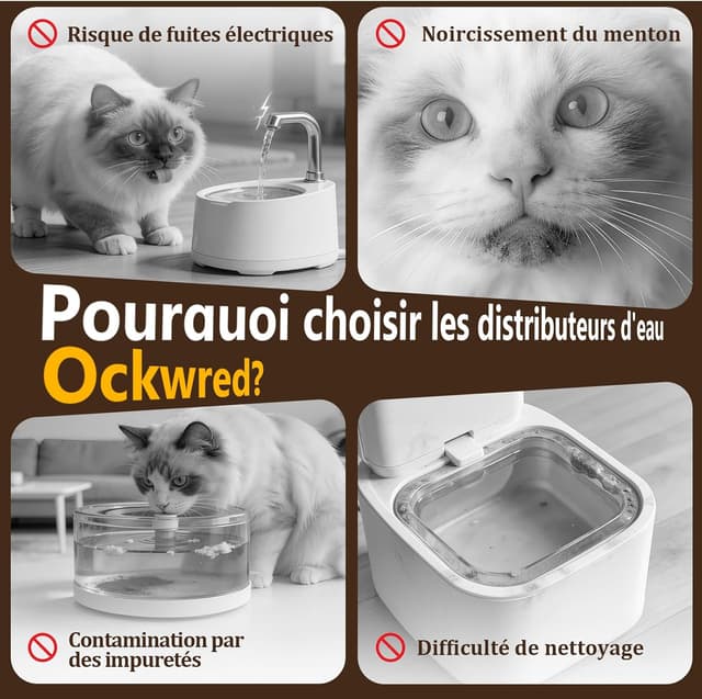 Thumbnail 3 de Fontaine à Eau INOX 3,2 L Filtration 5 niveaux