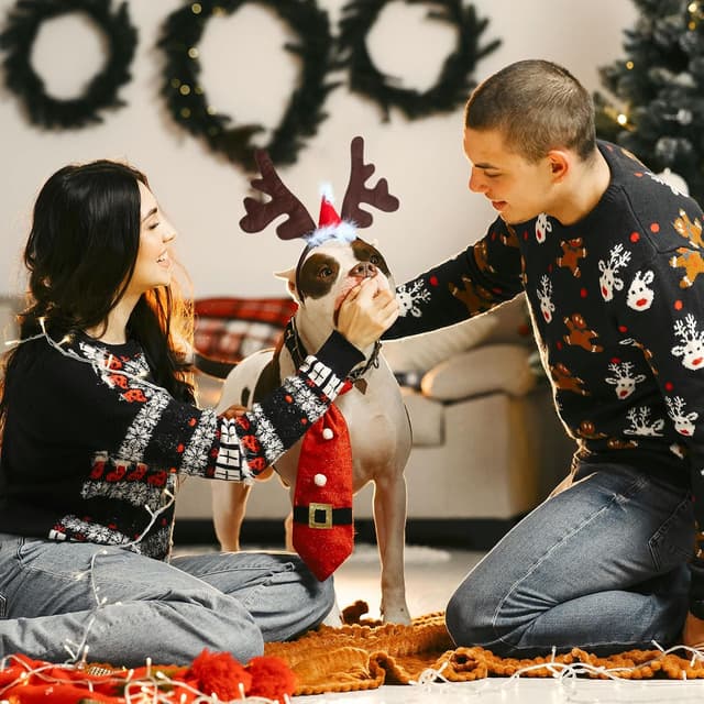 Thumbnail 4 de Naler Christmas Reindeer Antlers Headband for Pets ๐