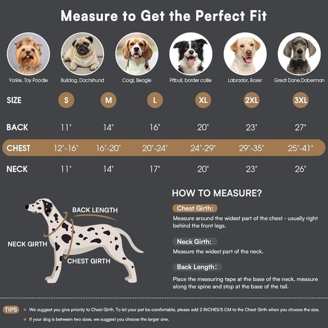 Thumbnail 4 de Queenmore Winter Dog Coat ⚡