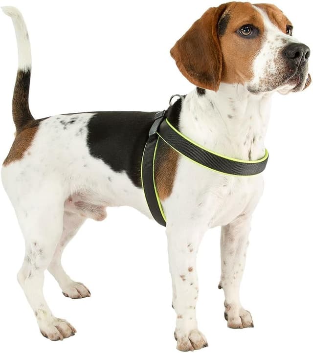Thumbnail 1 de Ferplast Harnais AGILA Fluo 6 pour chien de taille moyenne ⚙