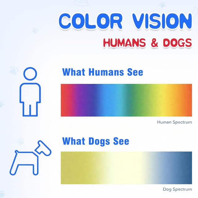 Thumbnail 5 de ChunHee Dog Bells Toilet Training 2 Pack