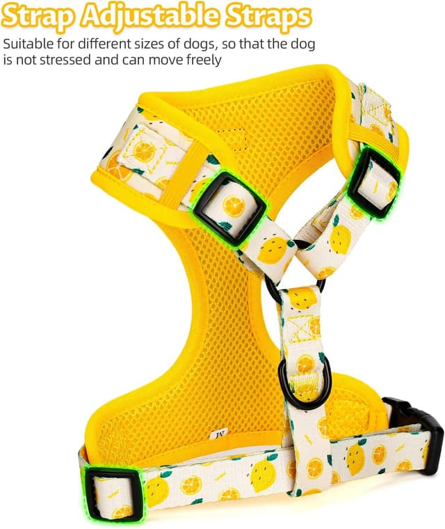 Detalle de COOWONE dog harness set for small dogs