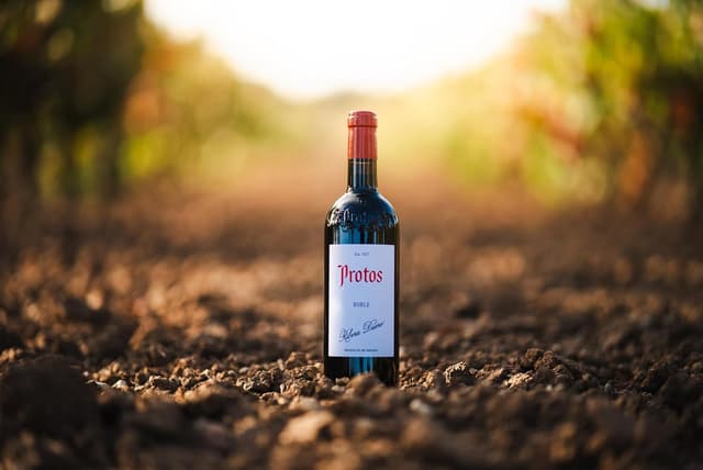 Thumbnail 5 de Protos Roble Tempranillo - Estuche Vino Tinto 🍷 (2 botellas)