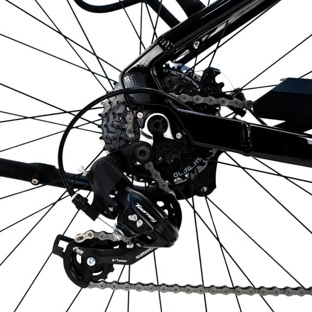 Thumbnail 3 de Rali Ecity 700 Rali