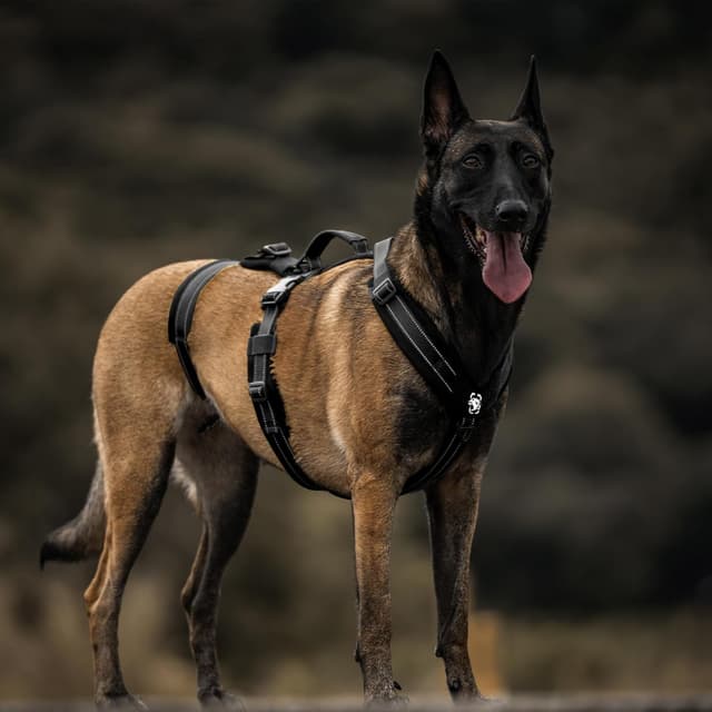 Thumbnail 6 de Escape-Proof Dog Harness Medium with Large Handle (Black, XL) – Anti-Pull Reflective Working Vest