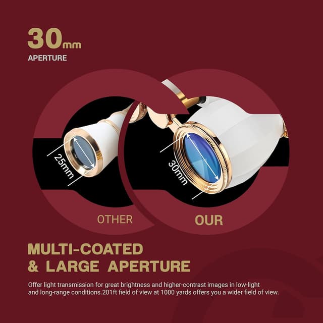 Detalle 2 de Opera Glass Theatre Glass 4x 30mm binoculars with gold chain – 4 x 30 mm antique-style theatre binoculars