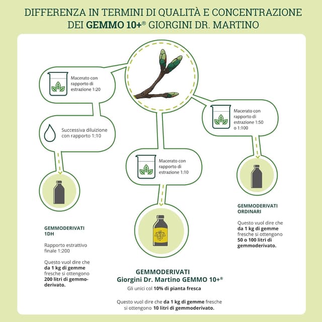 Detalle 2 de Dr Giorgini Integratore Alimentare al Lampone (Gemmoderivato) Concentrato Liquido Analcolico – 100 ml