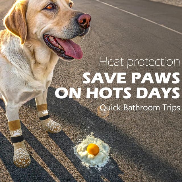 Detalle de EXPAWLORER Dog Socks with Grips (Double-Sided Anti-Slip) in Khaki – XS