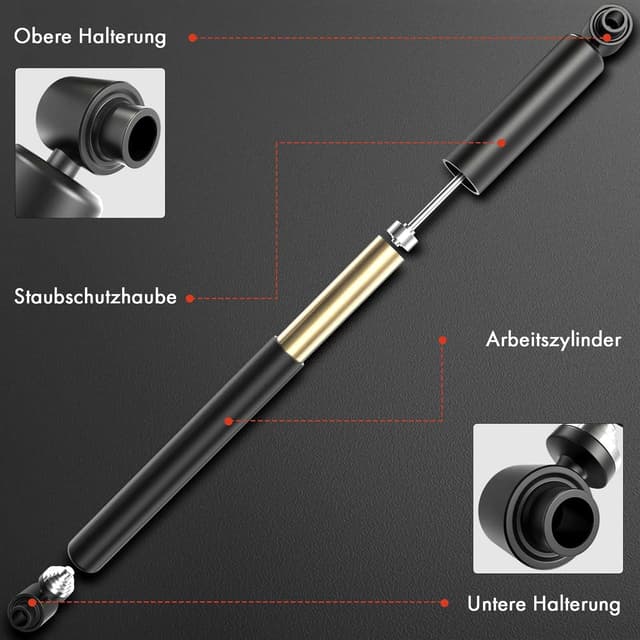 Detalle de Frankberg 2x Stoßdämpfer hinten links/rechts 438 mm Gasdruck für Twingo III & Fortwo Cabriolet (ersetzt u. a. 3438008, 562109948R)