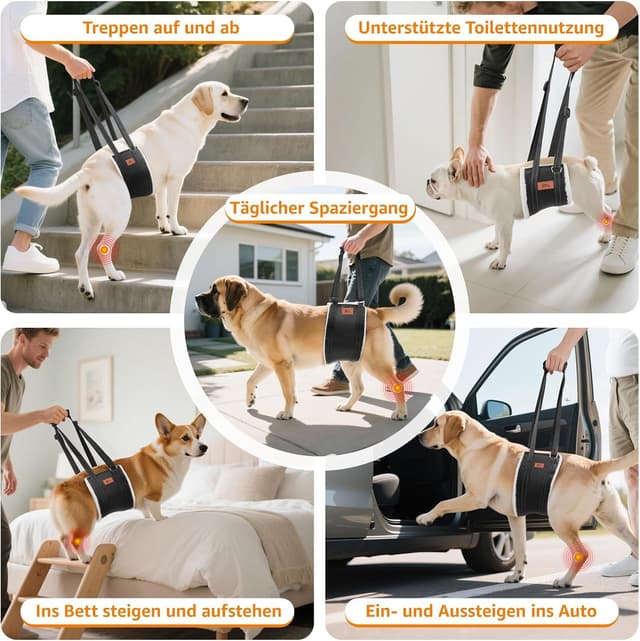 Thumbnail 6 de PICK FOR LIFE Hundegeschirr als Tragehilfe – einstellbarer Rücken- & Lift-Support für kleine bis große Hunde