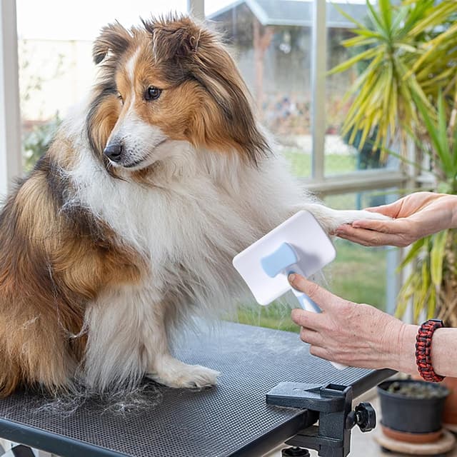 Detalle 2 de Vinabo Brosse autonettoyante pour animaux 95%