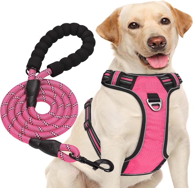Detalle de haapaw No Pull Dog Harness with Reflective Oxford Fabric, Adjustable Easy Control Medium Large + Free Heavy Duty Lead