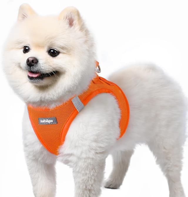 Detalle de rabbitgoo Dog Harness Step-in for Small Dogs