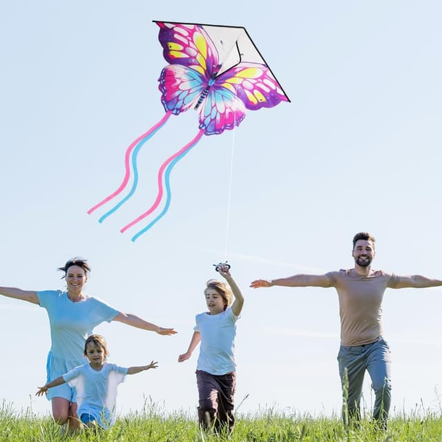 Thumbnail 5 de Aomig Drago aquilone singolo per bambini e adulti 100×73 cm 🪁