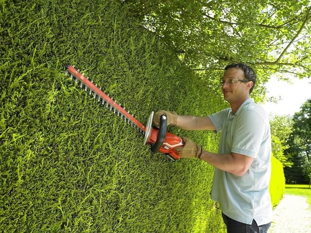 Thumbnail 4 de BLACK+DECKER GTC1845L20 cortasetos 18V, espada 45 cm ✂