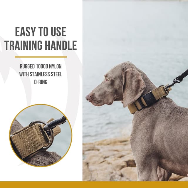 Detalle de OneTigris collare per cani con fibbia in metallo, marrone (taglia M)