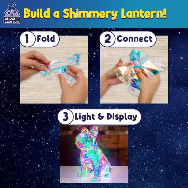 Detalle 2 de Purple Ladybug Prismic make-your-own 3D light-up dog lantern DIY craft kit (USB powered)